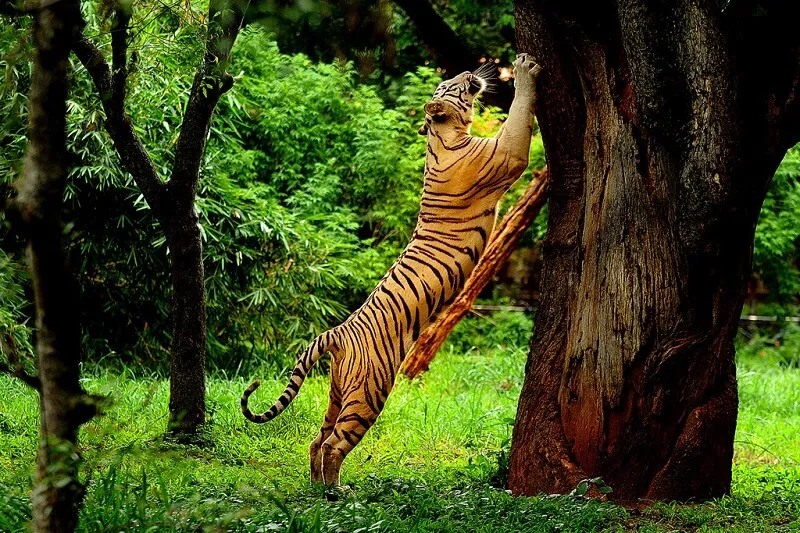 Uttarakhand Tourism 2025